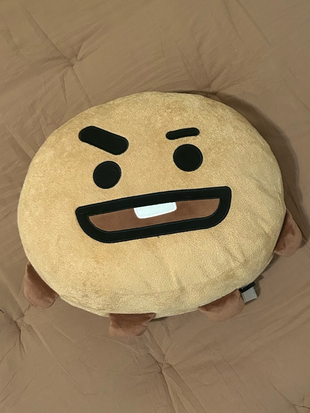 BT21 Shooky Large Pillow Plush